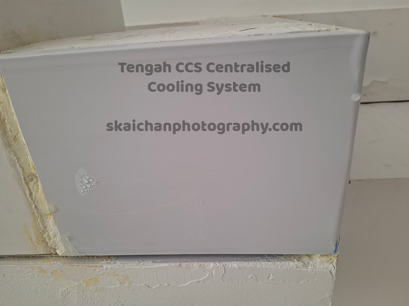 ccs condensation